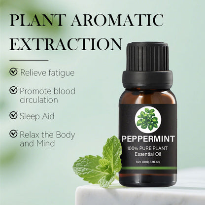 Aromatherapy essential oil set